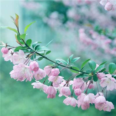 攻城战记谋战群英手游下载